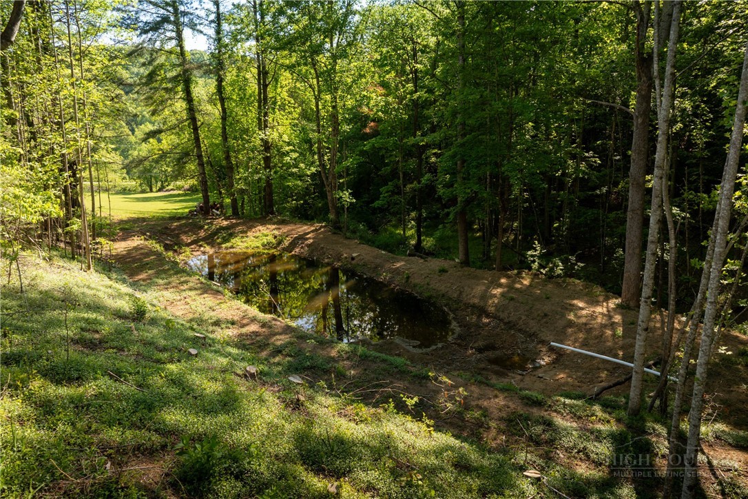 466 Stony Fork Road Deep Gap, NC 28618 - Photo 11 of 49