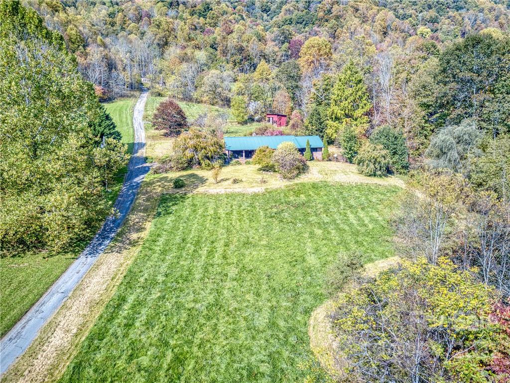 224 Short Ridge Lane Clyde, NC 28721 - Photo 8 of 37 a view of outdoor space and yard
