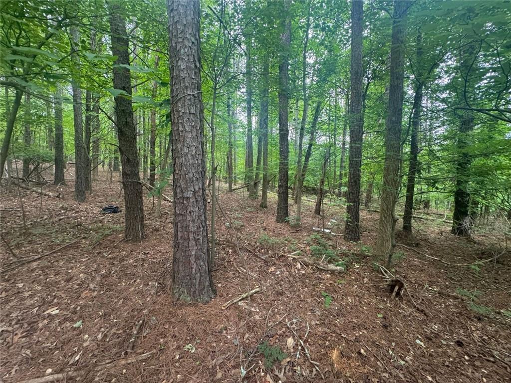 1460 Sam Nelson Road Canton, GA 30114 - Photo 6 of 8