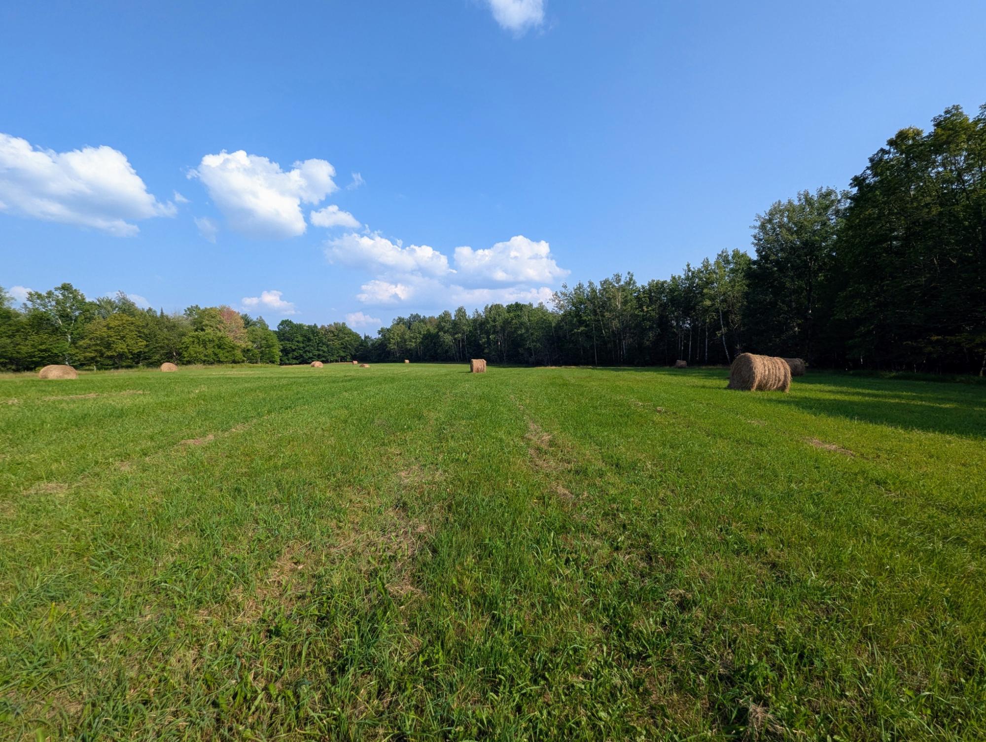 W3481 Nyberg-Hill Road Prentice, WI 54556 - Photo 24 of 29 Gallery Image 24
