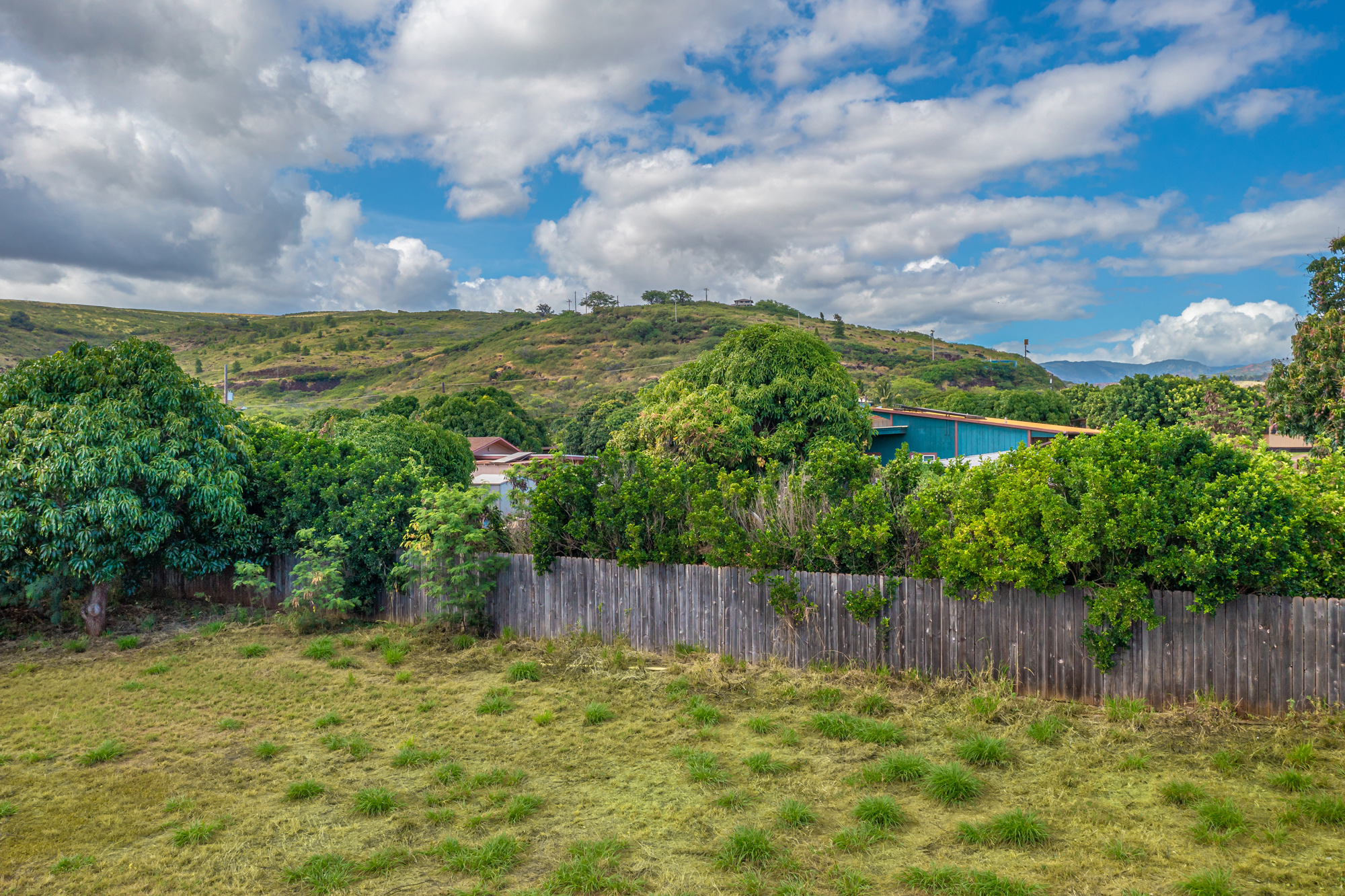 95 Haina Road Waimea, HI 96796 - Photo 3 of 12