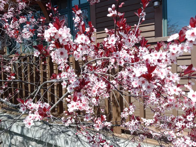 $750,000 | 6236 Bald Eagle Road, Mount Pleasant, WI 53406