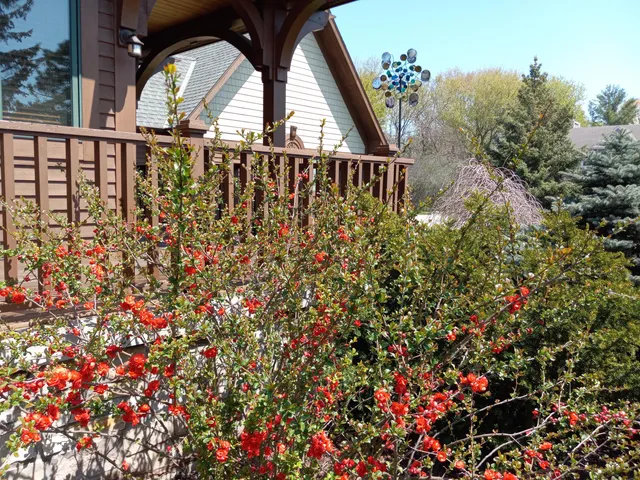 $750,000 | 6236 Bald Eagle Road, Mount Pleasant, WI 53406