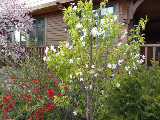 $750,000 | 6236 Bald Eagle Road, Mount Pleasant, WI 53406