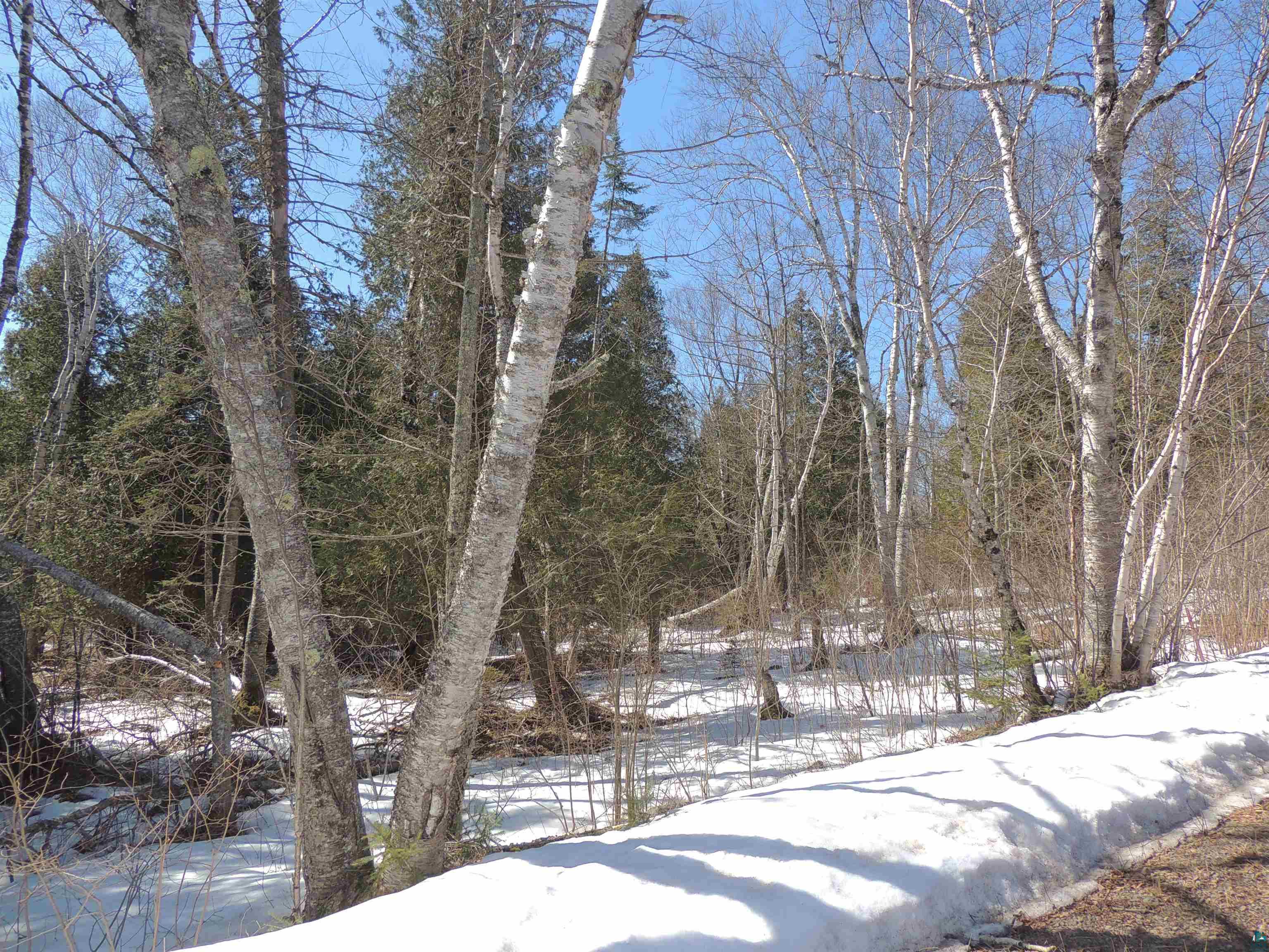 X30 Isak Ridge Lutsen, MN 55612 - Photo 15 of 28