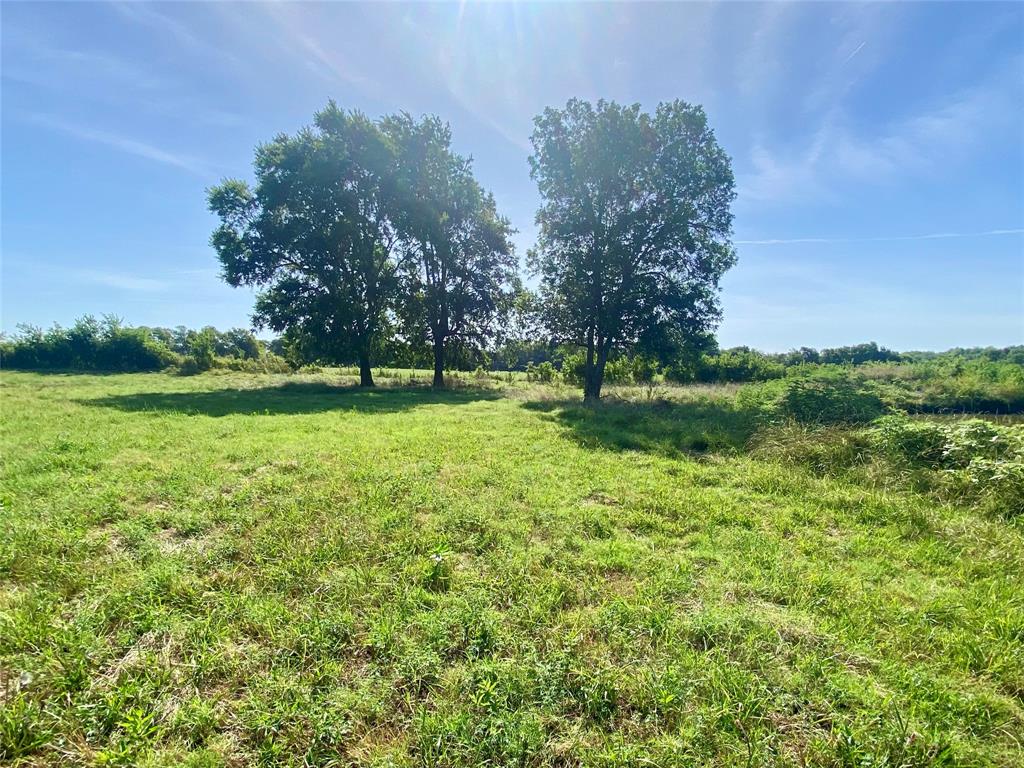 2506 Fm 272 Celeste, TX 75423 - Photo 30 of 36 a view of a field with a tree in it