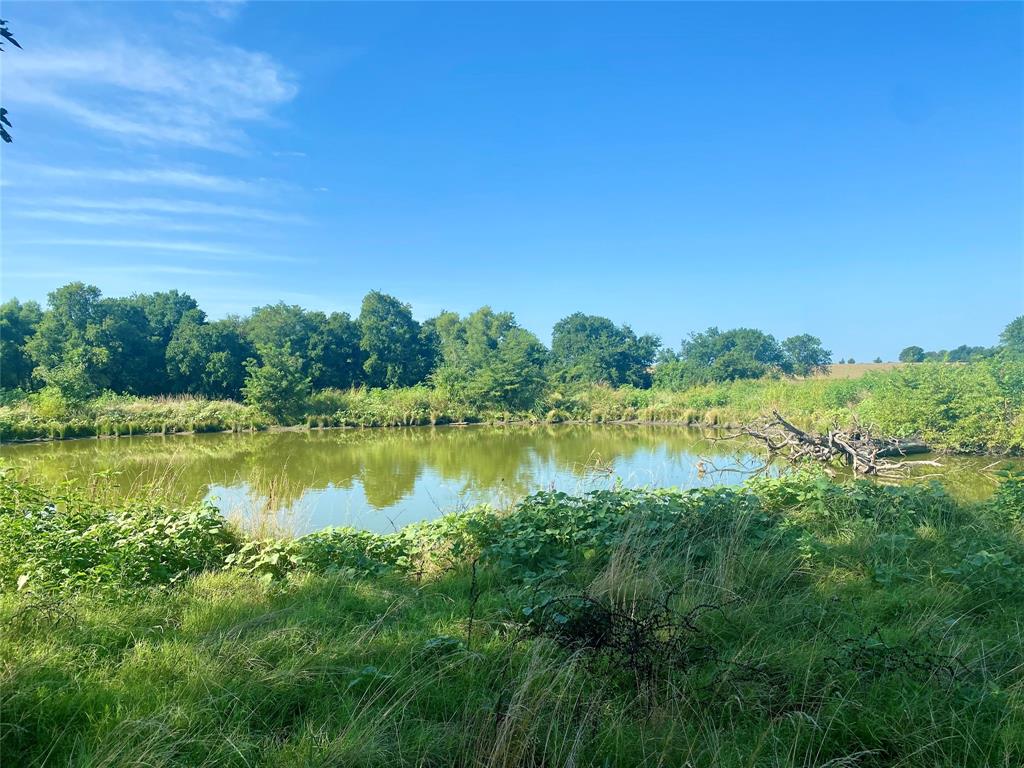 2506 Fm 272 Celeste, TX 75423 - Photo 31 of 36 a view of lake with green space