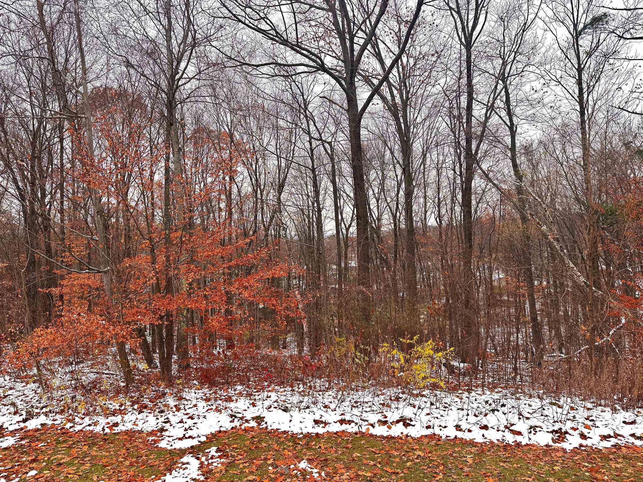 150 Fillmore Street Bennington, VT 05201 - Photo 60 of 60