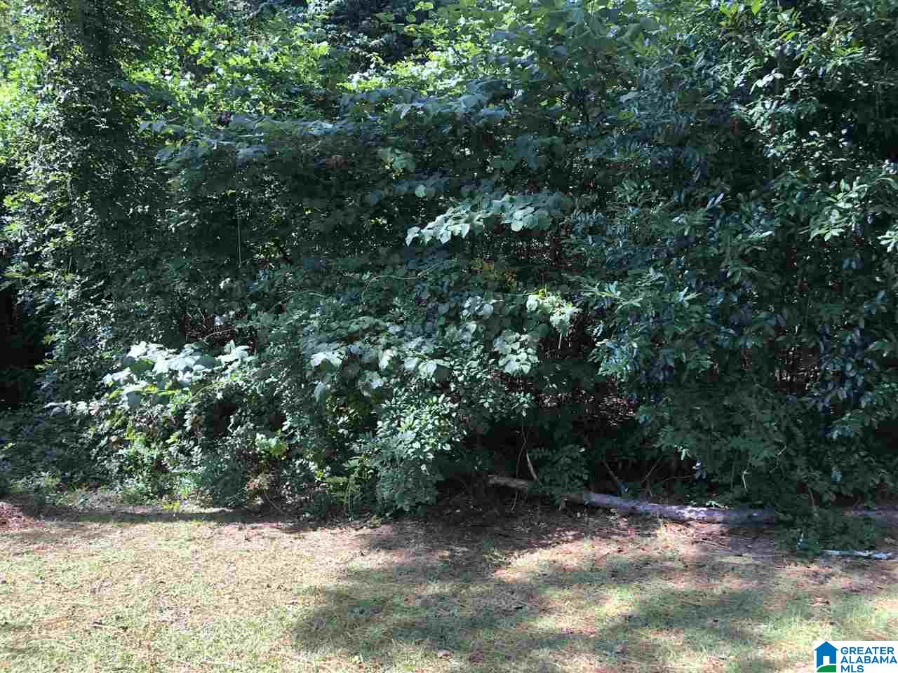 1112 Mountain Brook Road Oxford, AL 36203 - Photo 41 of 50