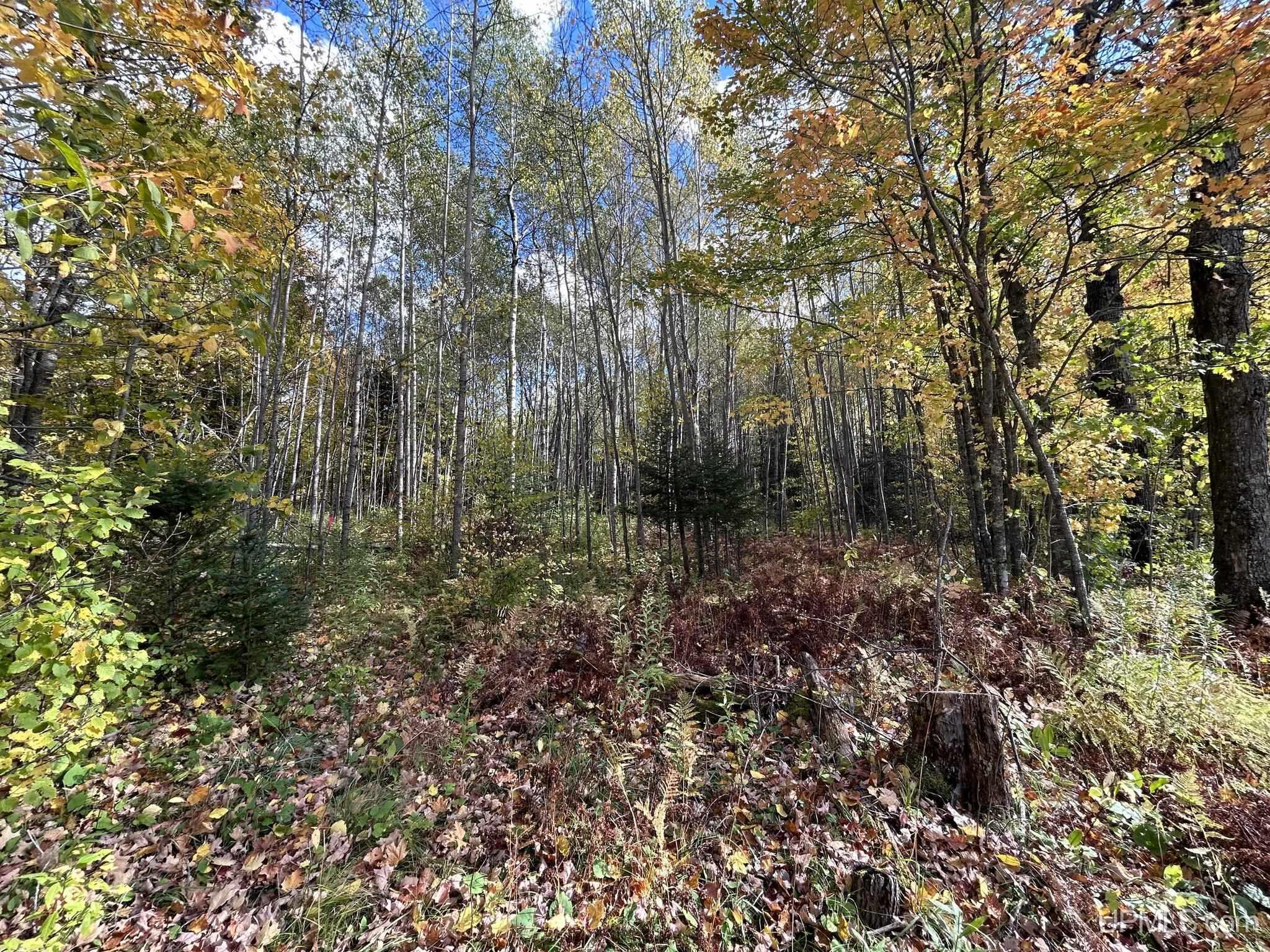 T-wi Memory Lane Fence, WI 54120 - Photo 6 of 10