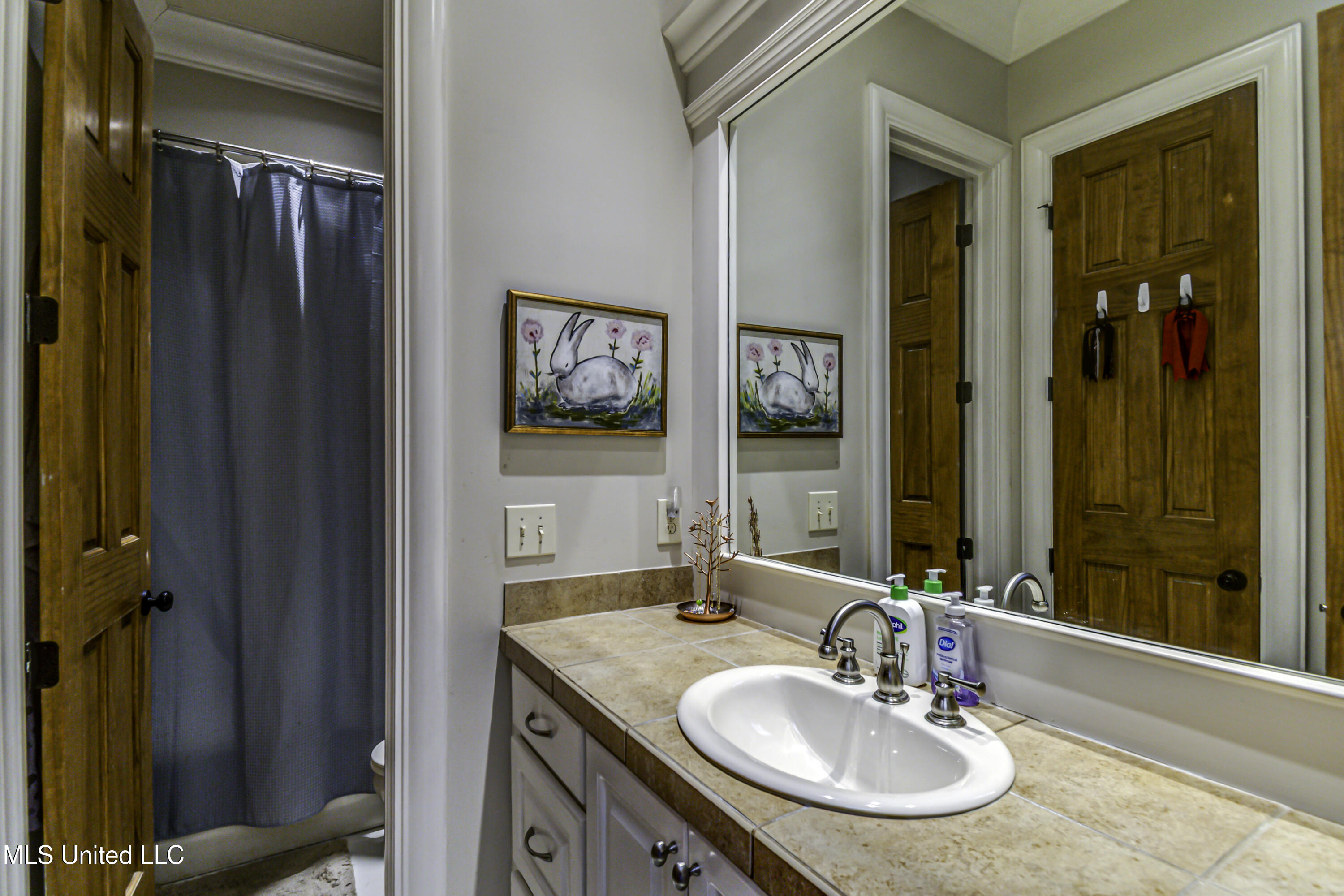 103 Bristol Lane Madison, MS 39110 - Photo 15 of 66 103 Bristol Ln--24