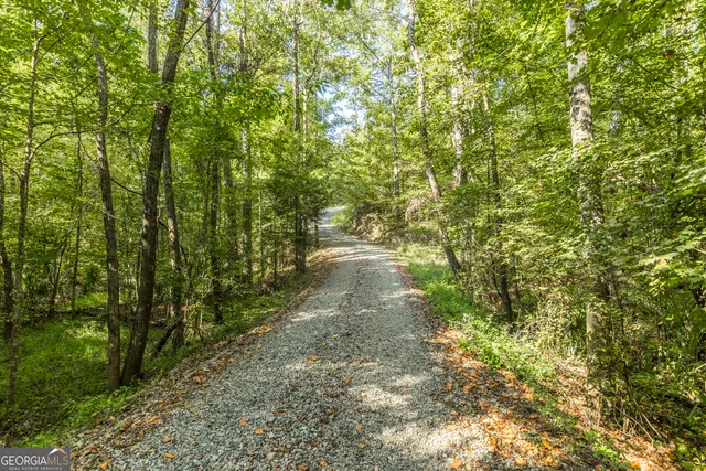 a view of house with garden