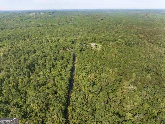 $1,150,000 | 1979 Dent Road, Musella, GA 31066