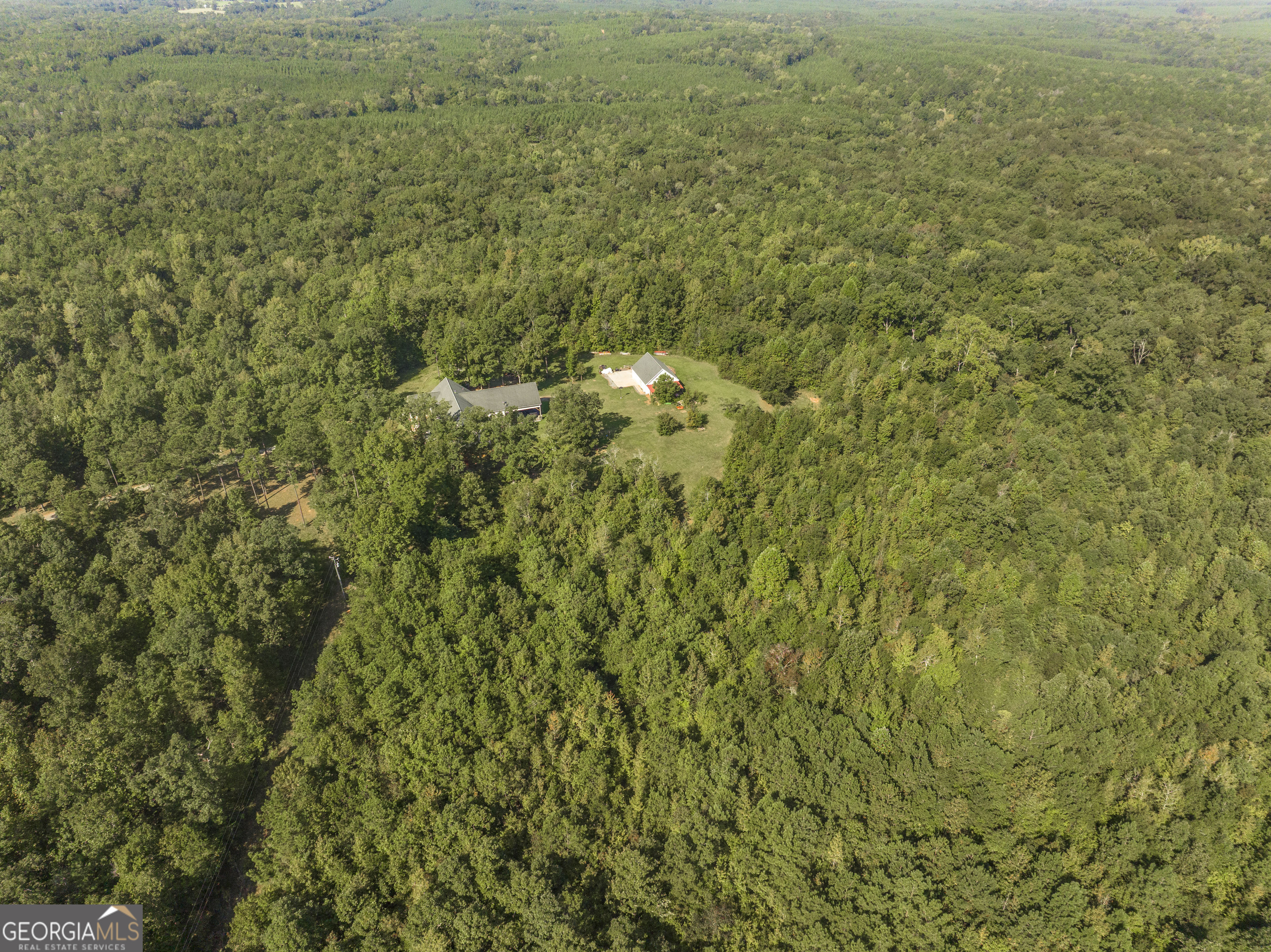 1979 Dent Road Musella, GA 31066 - Photo 54 of 77 a view of a big yard with plants and large trees