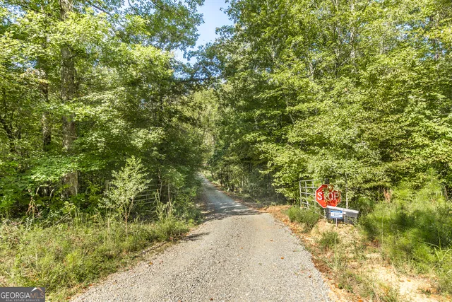$1,150,000 | 1979 Dent Road, Musella, GA 31066
