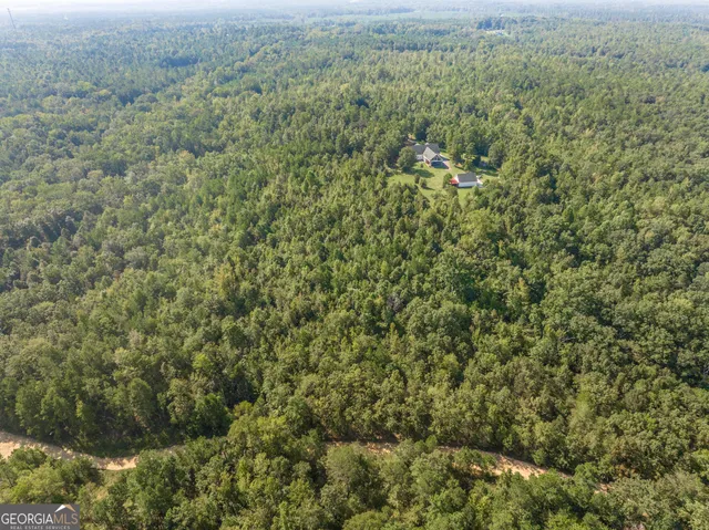 $1,150,000 | 1979 Dent Road, Musella, GA 31066