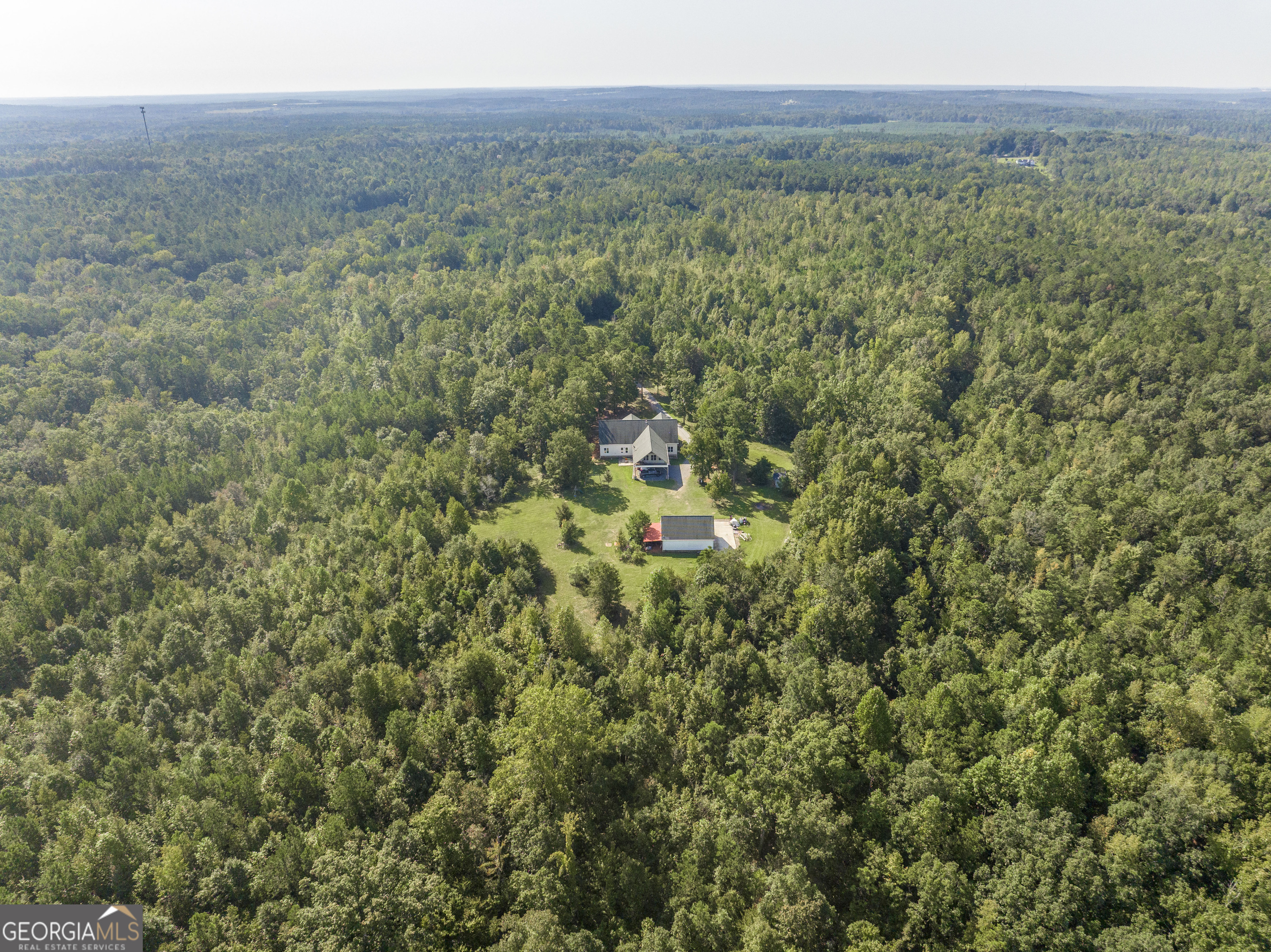 1979 Dent Road Musella, GA 31066 - Photo 61 of 77 a view of a lush green forest with trees and some houses