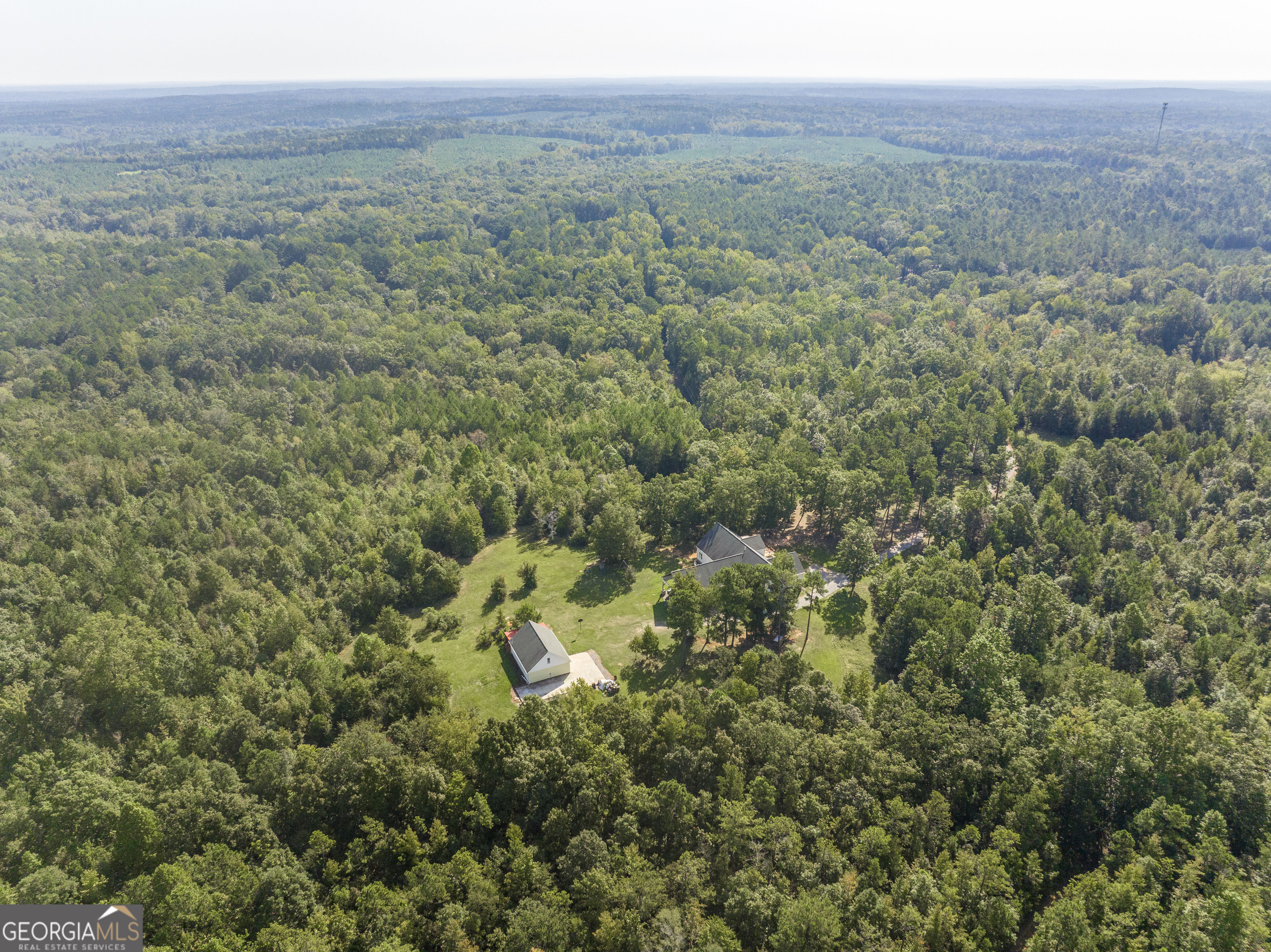 1979 Dent Road Musella, GA 31066 - Photo 63 of 77 a view of a lush green forest with trees and some houses