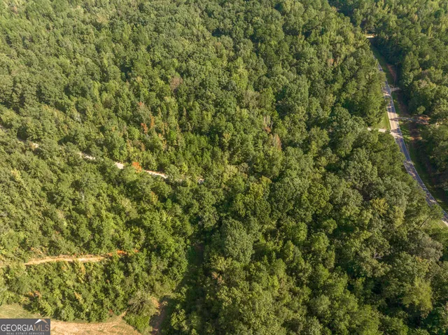 $1,150,000 | 1979 Dent Road, Musella, GA 31066