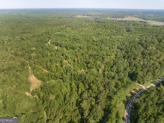 $1,150,000 | 1979 Dent Road, Musella, GA 31066