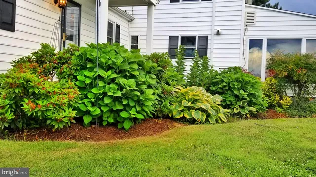 $550,000 | 587 Jouett School Road, Mineral, VA 23117