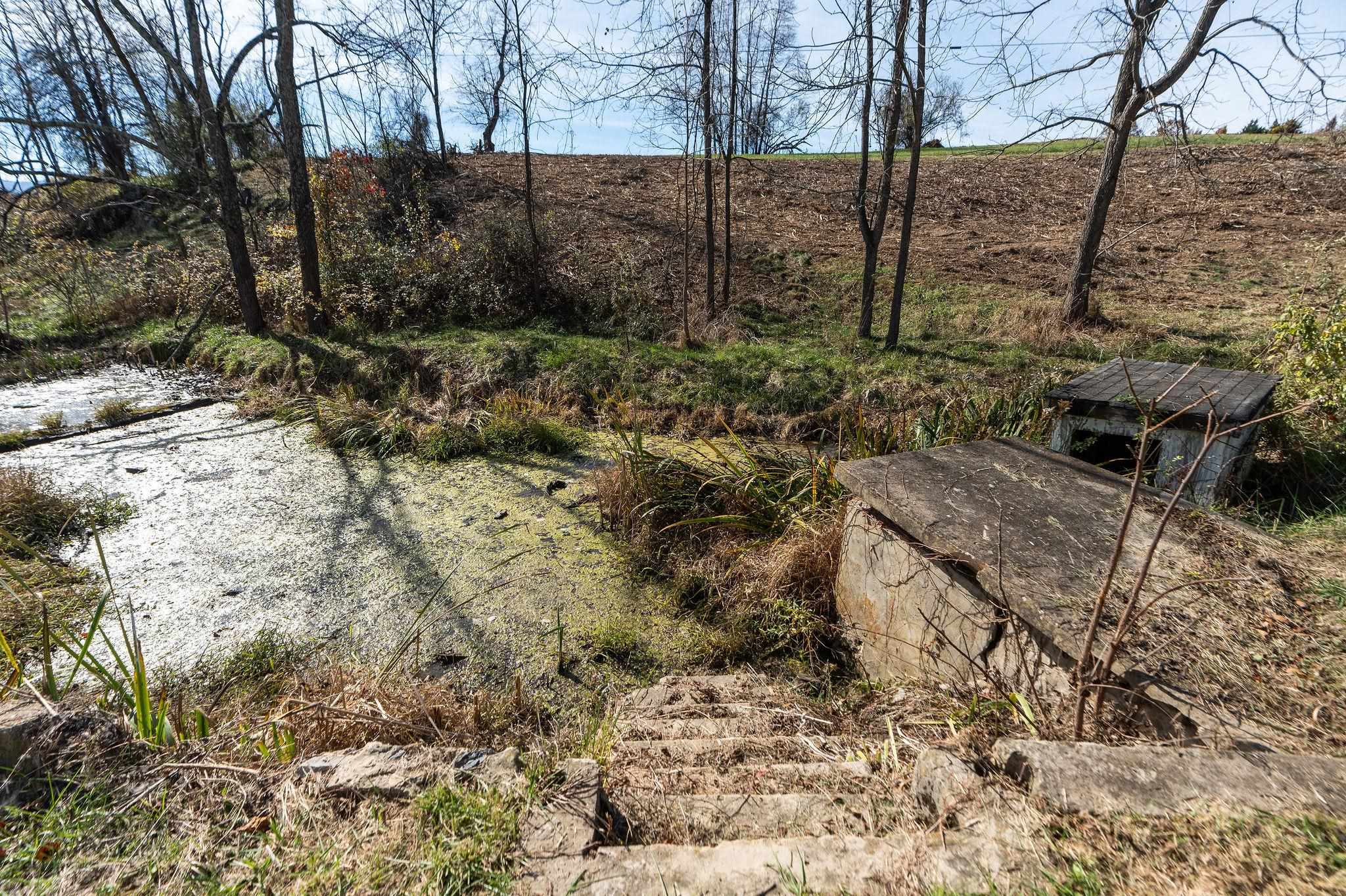 5818 Lee Jackson Highway Raphine, VA 24472 - Photo 36 of 66