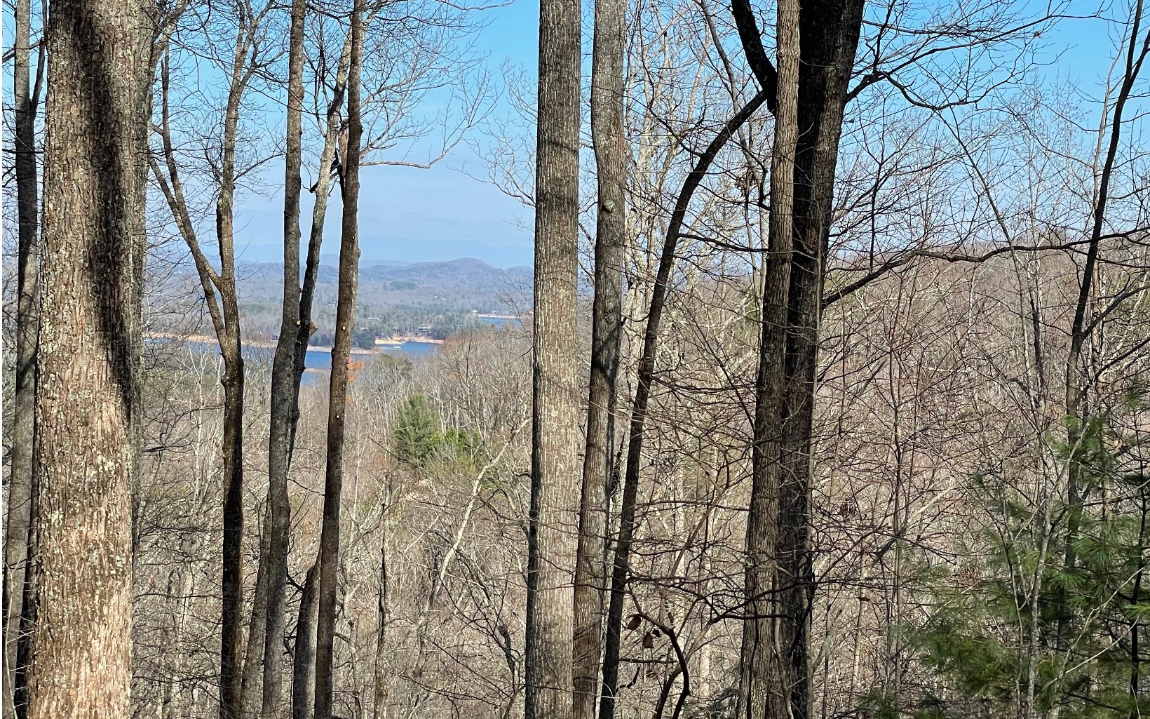 2.4 Green Ridge Road Blue Ridge, GA 30513 - Photo 26 of 28 Additional View