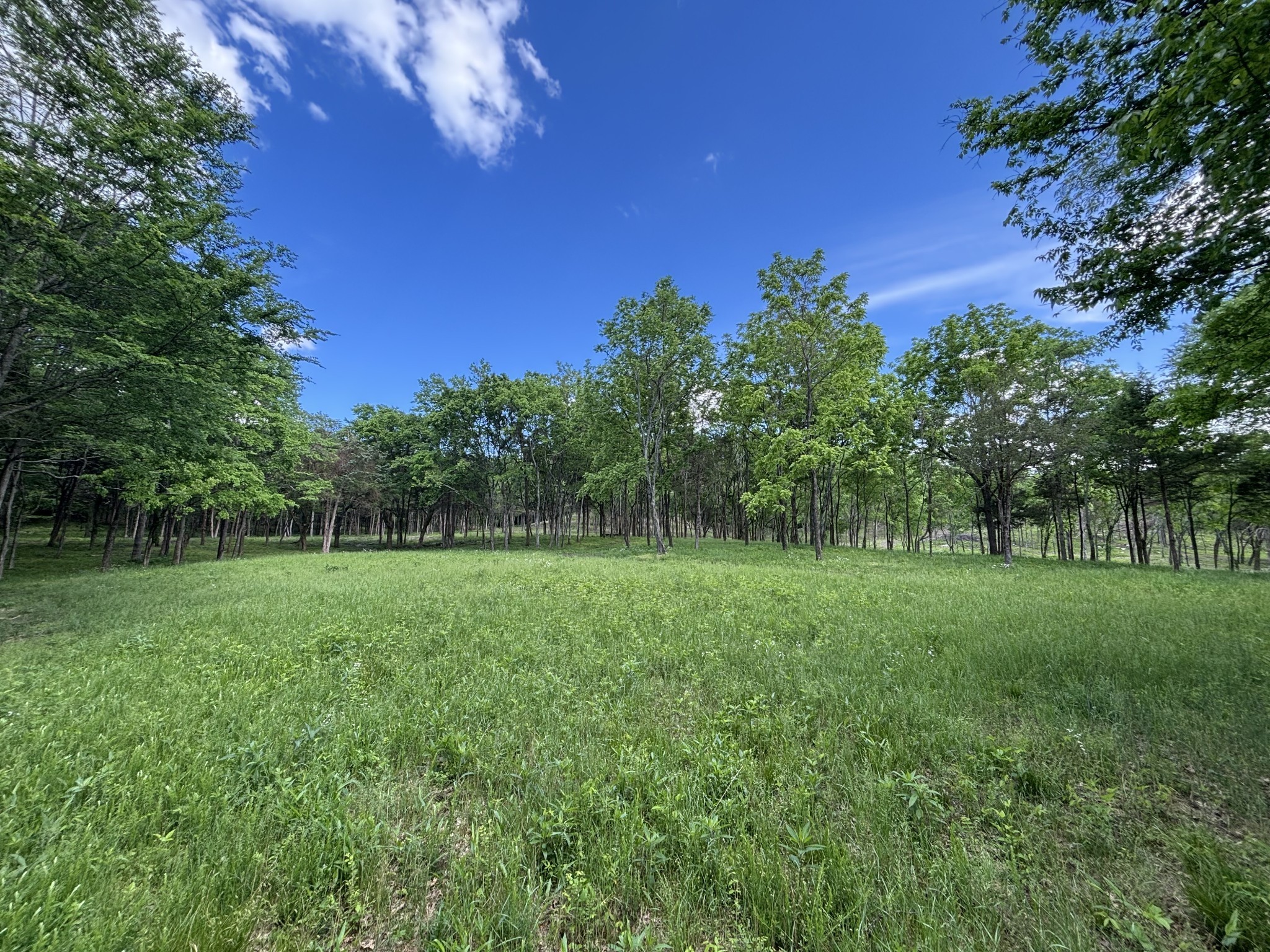 9205 Bowles Road Rockvale, TN 37153 - Photo 27 of 54 Gallery Image 27