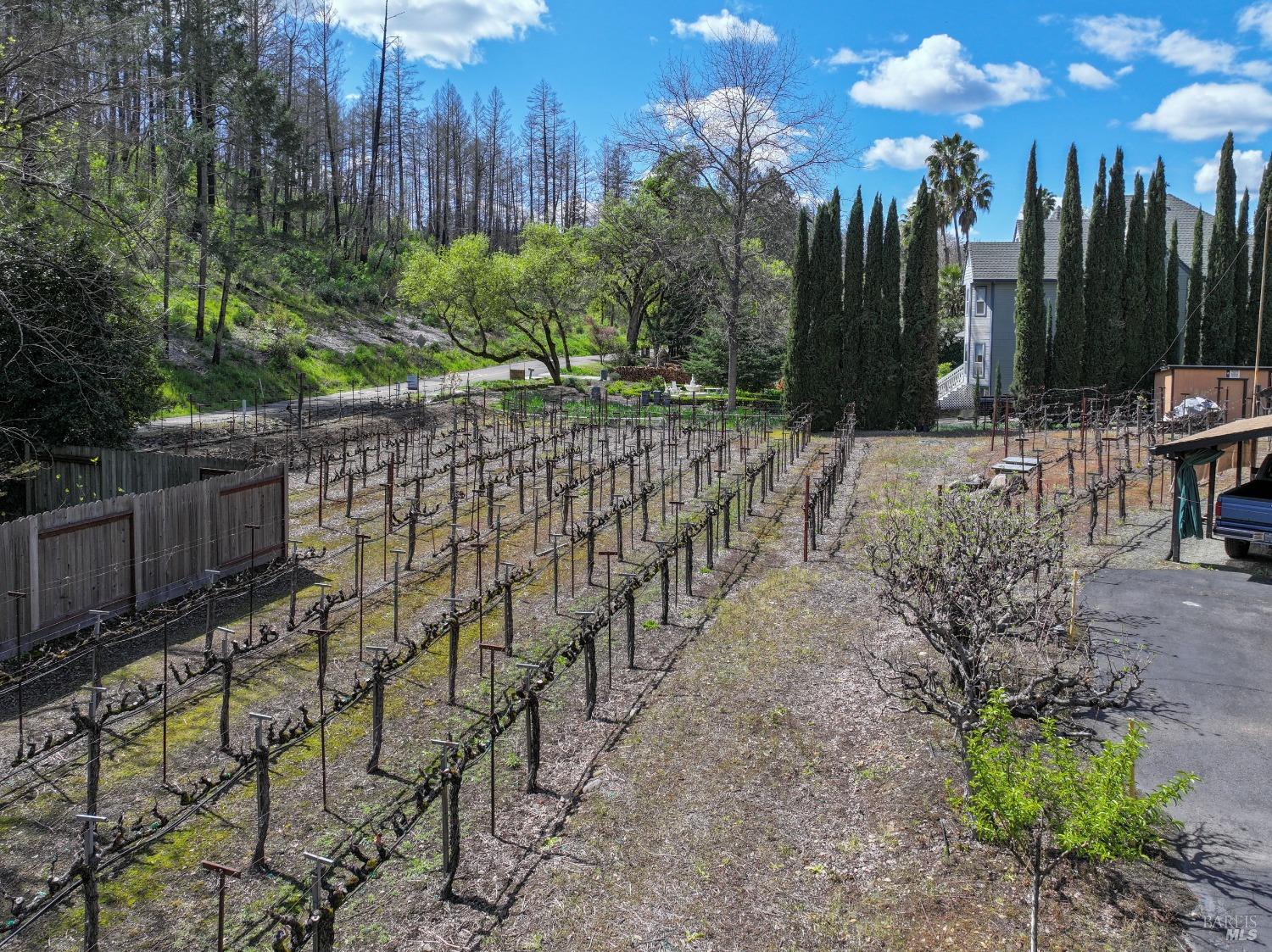455 Glass Mountain Road St. Helena, CA 94574 - Photo 21 of 49