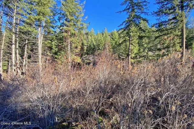 $145,000 | 150 Castle Crst Road, Hope, ID 83836