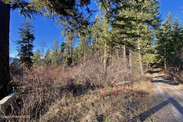$145,000 | 150 Castle Crst Road, Hope, ID 83836
