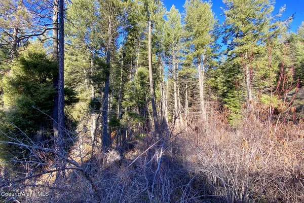 $145,000 | 150 Castle Crst Road, Hope, ID 83836