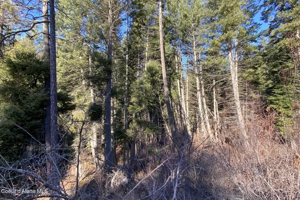 $145,000 | 150 Castle Crst Road, Hope, ID 83836