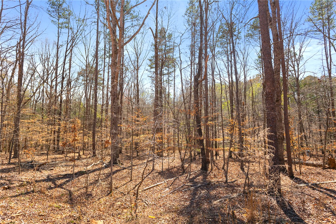 605 Elizabeth (lot 3) Road Westminster, SC 29693 - Photo 12 of 13