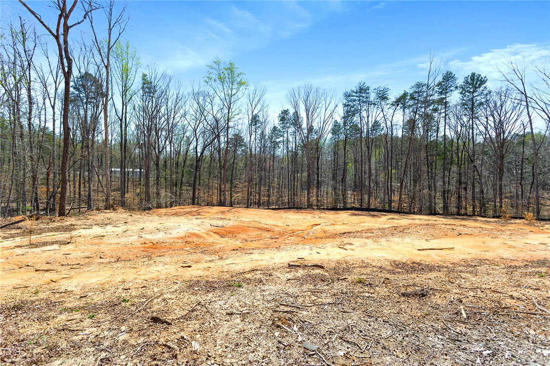 605 Elizabeth (lot 3) Road Westminster, SC 29693 - Photo 4 of 13