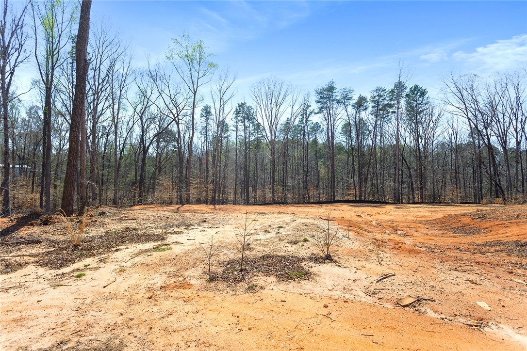 605 Elizabeth (lot 3) Road Westminster, SC 29693 - Photo 6 of 13