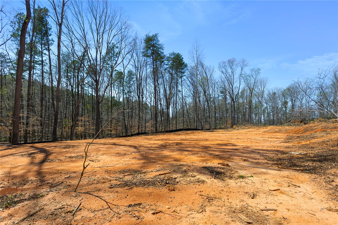 605 Elizabeth (lot 3) Road Westminster, SC 29693 - Photo 7 of 13