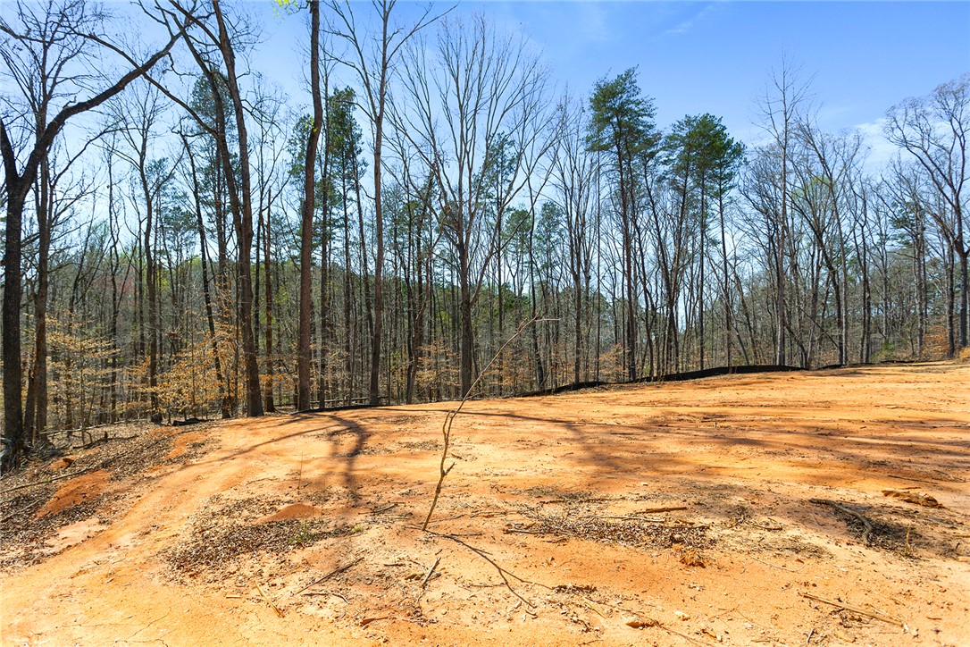 605 Elizabeth (lot 3) Road Westminster, SC 29693 - Photo 8 of 13