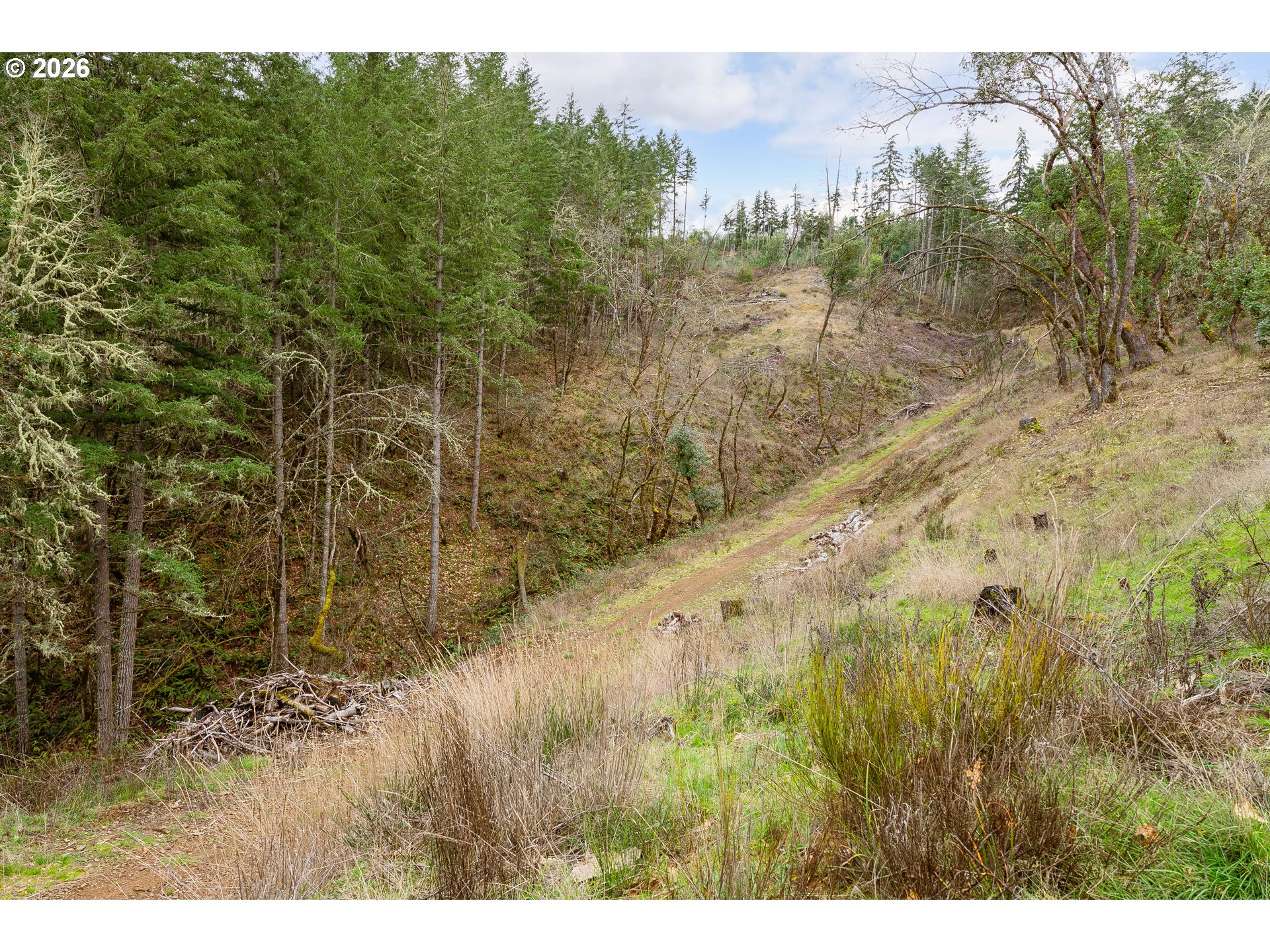 0 South Side Road Sutherlin, OR 97479 - Photo 13 of 17
