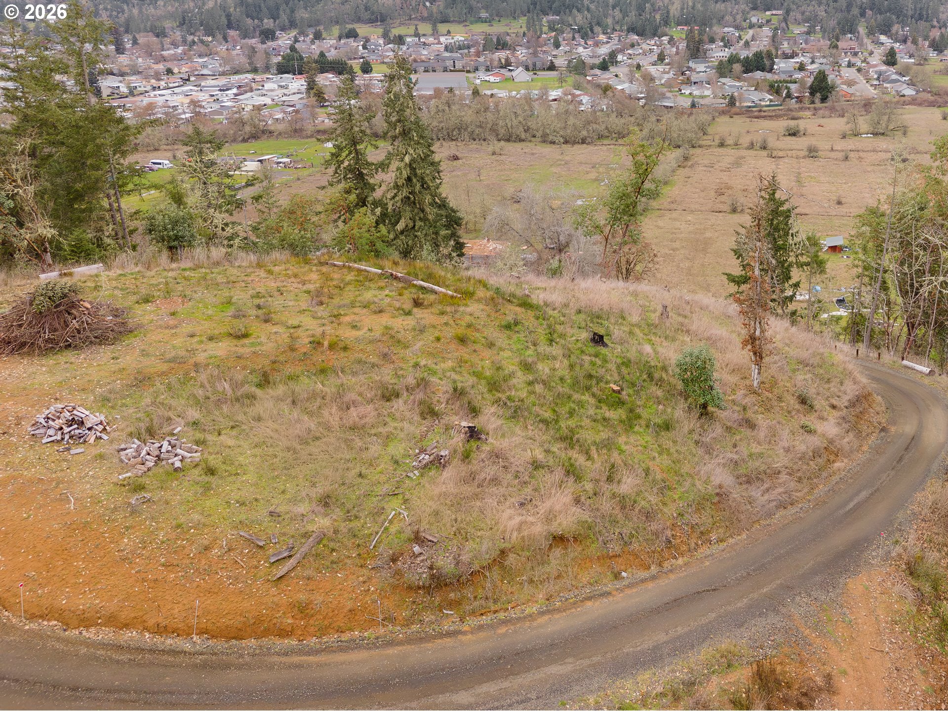 0 South Side Road Sutherlin, OR 97479 - Photo 14 of 17