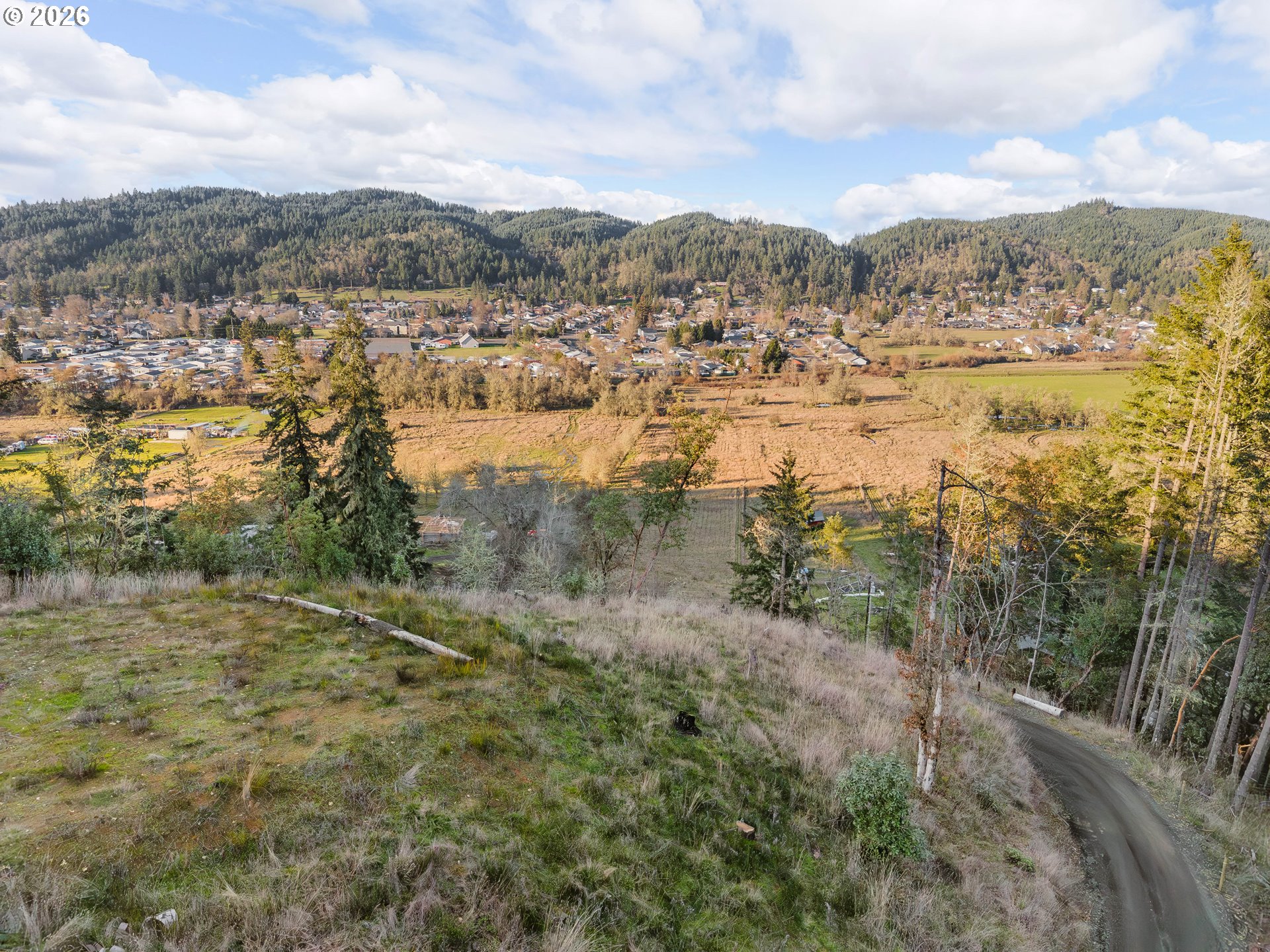 0 South Side Road Sutherlin, OR 97479 - Photo 15 of 17