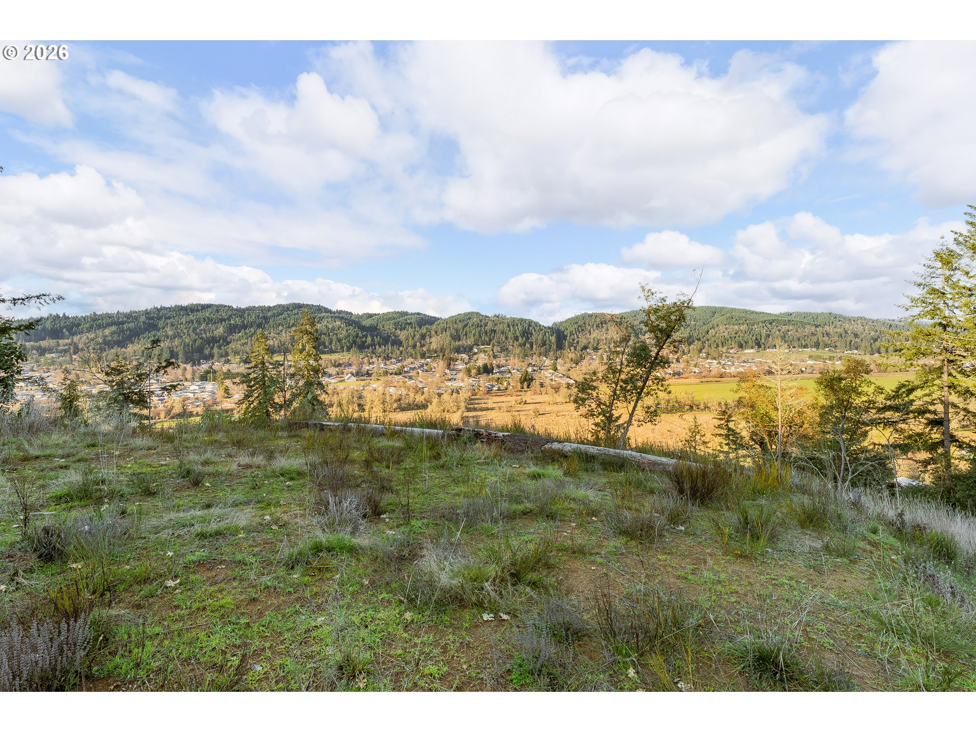 0 South Side Road Sutherlin, OR 97479 - Photo 16 of 17