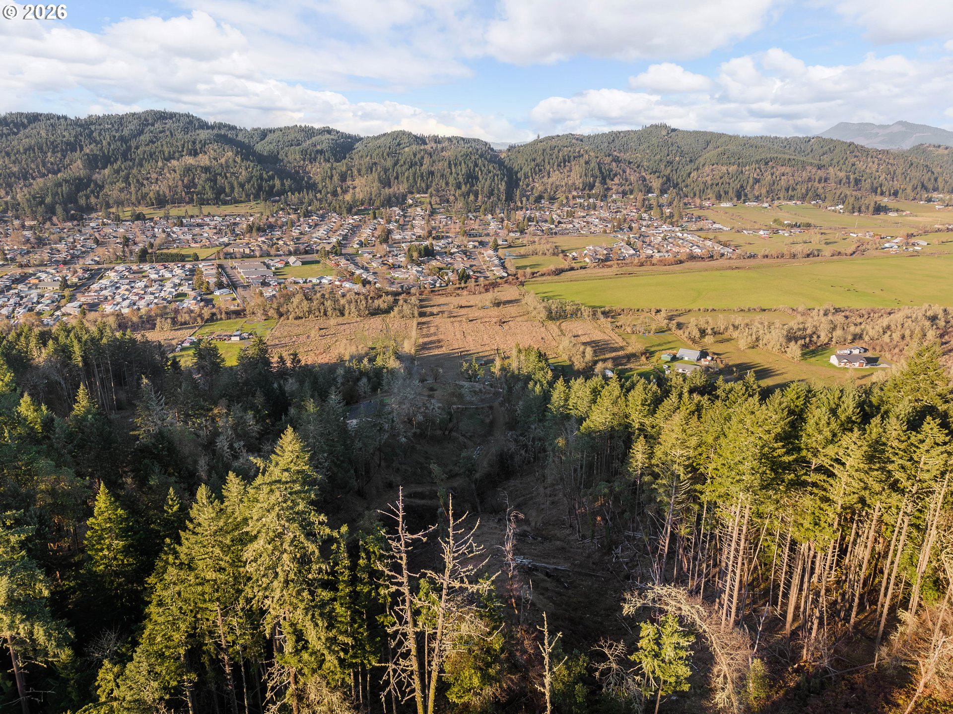 0 South Side Road Sutherlin, OR 97479 - Photo 17 of 17