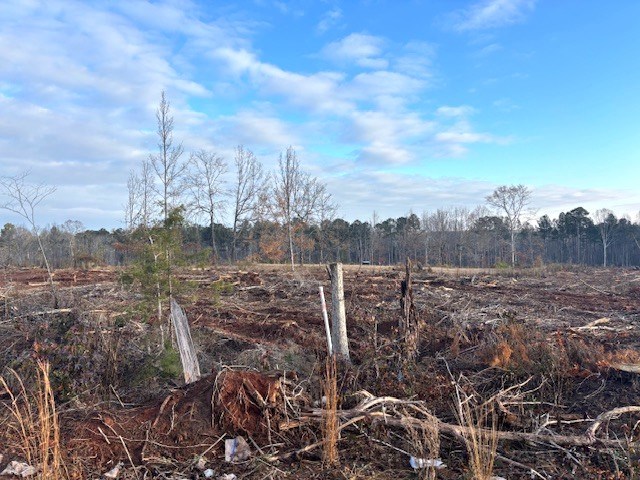 - Chipley Road Greenwood, SC 29646 - Photo 7 of 34