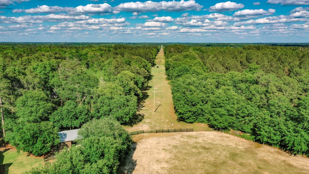 299 Hunt Club Road Barnwell, SC 29812 - Photo 6 of 72