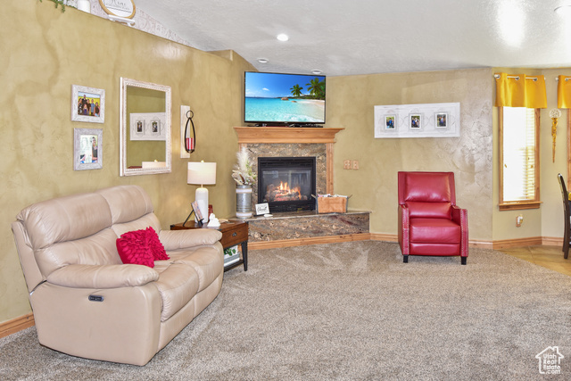 1500 Fish Creek Road Bancroft, ID 83217 - Photo 14 of 45 Carpeted living area featuring a glass covered fireplace and baseboards