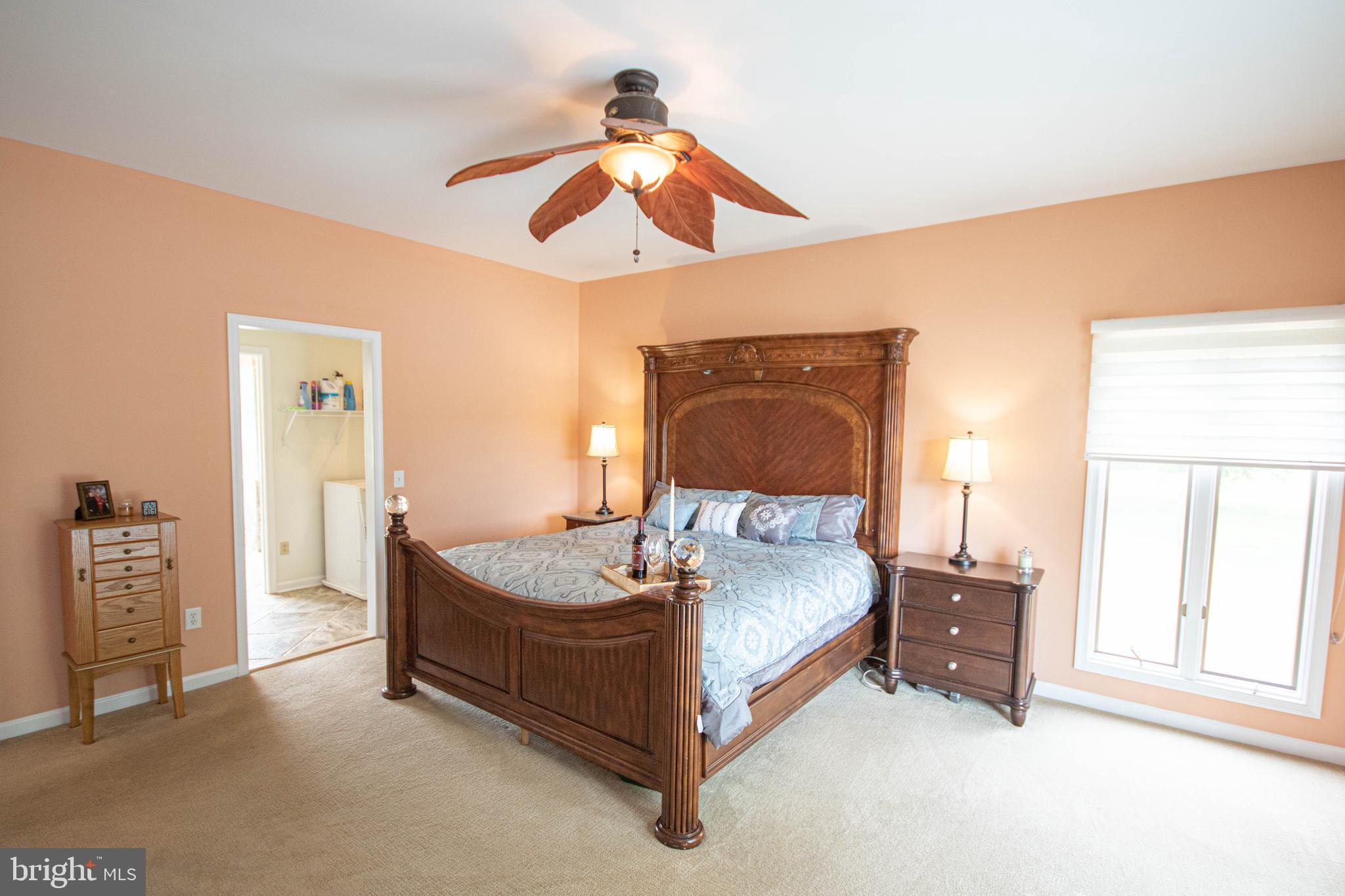 7180 Cherry Walk Road Hebron, MD 21830 - Photo 12 of 124 Downstairs Master