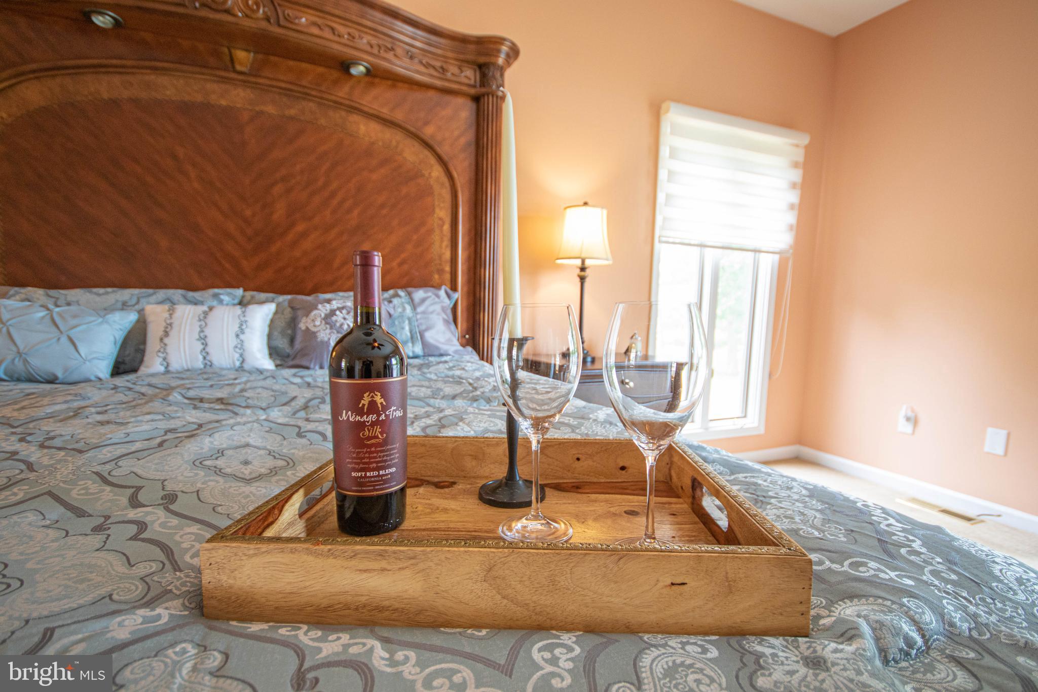 7180 Cherry Walk Road Hebron, MD 21830 - Photo 14 of 124 Downstairs Master