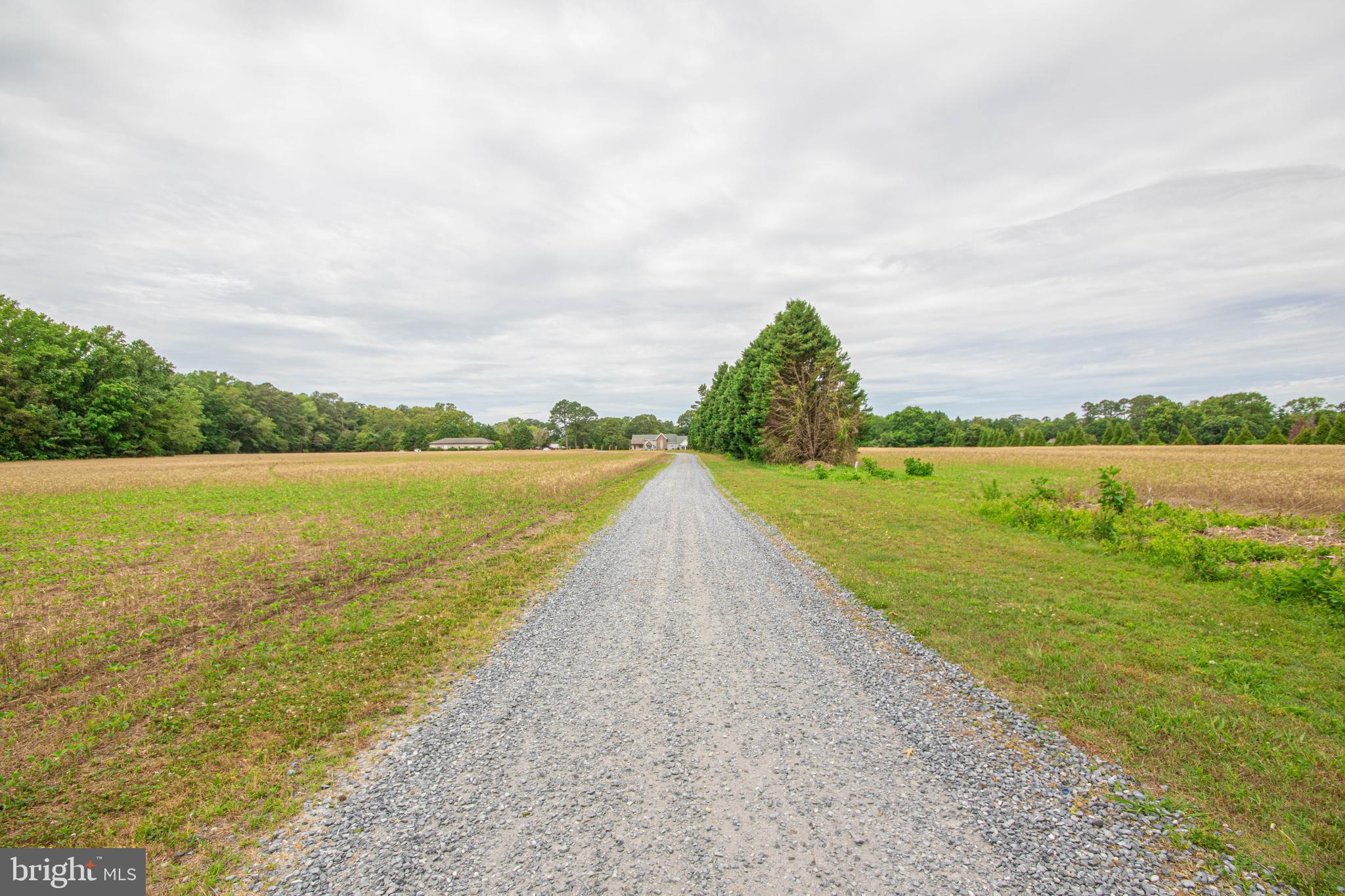 7180 Cherry Walk Road Hebron, MD 21830 - Photo 4 of 124 Driveway