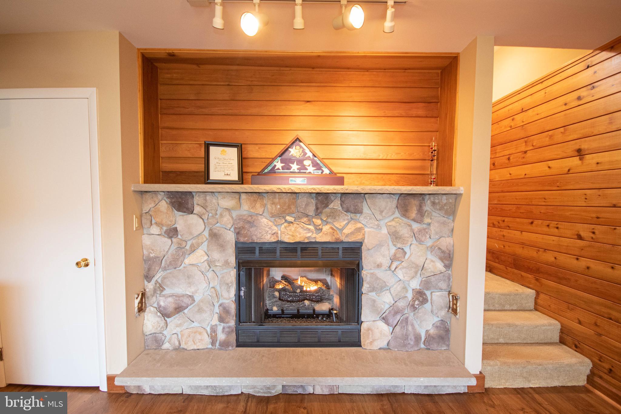 7180 Cherry Walk Road Hebron, MD 21830 - Photo 53 of 124 Basement fireplace